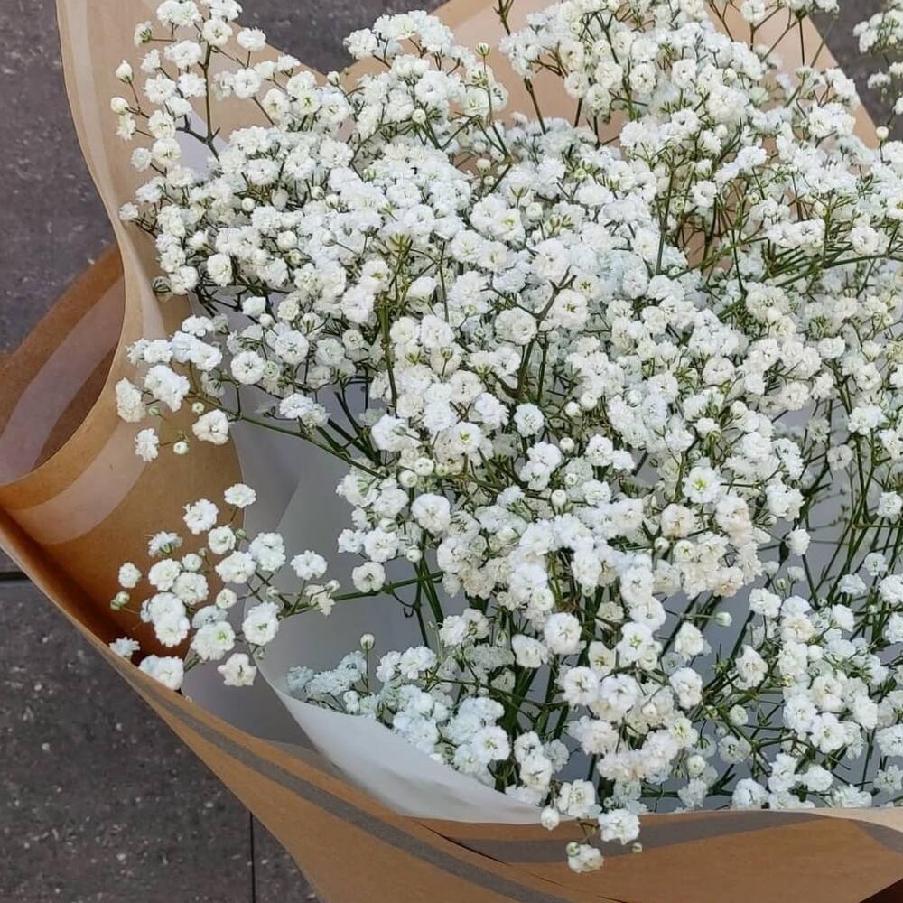 Букет из белой гипсофилы