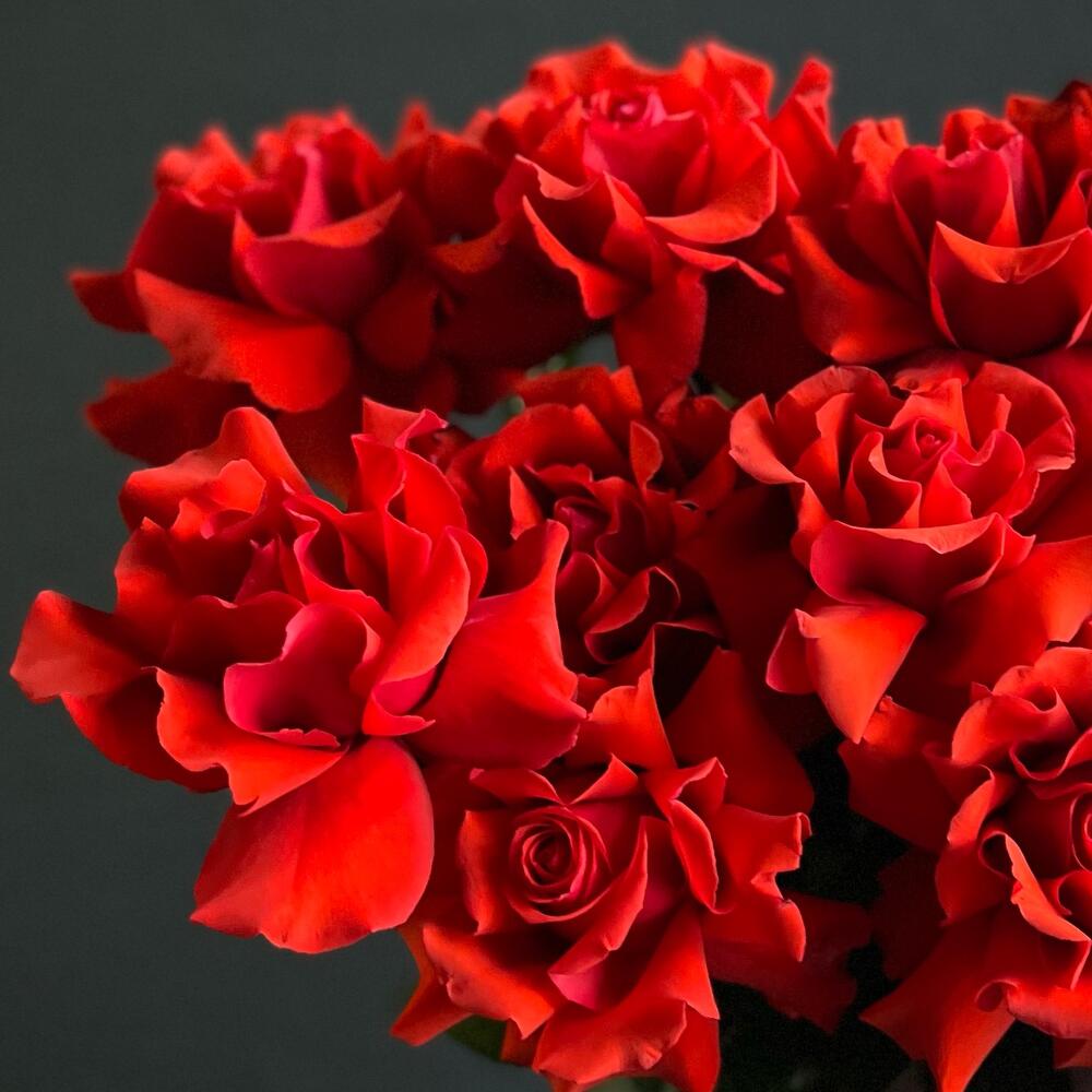 Букет из 11 сортовых,алых роз