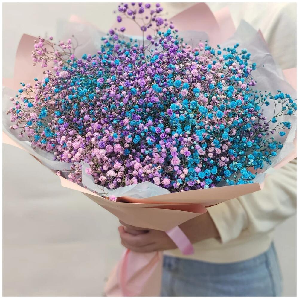 Розовая, голубая, фиолетовая гипсофила