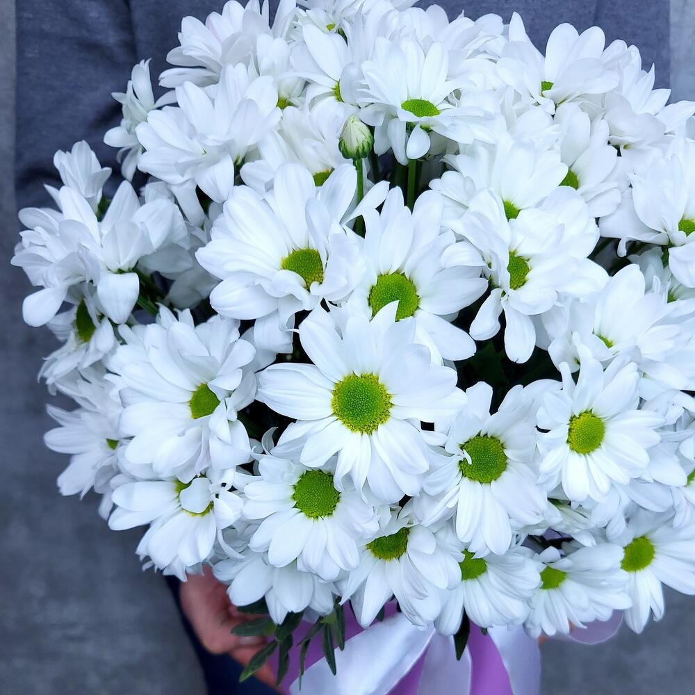 Ромашковое поле L композиция из хризантем Ромашковое поле L композиция из хризантем