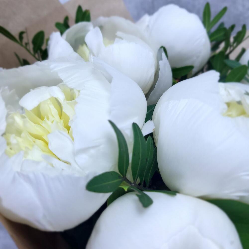 Сливочный пломбир букет из пионов Сливочный пломбир букет из пионов