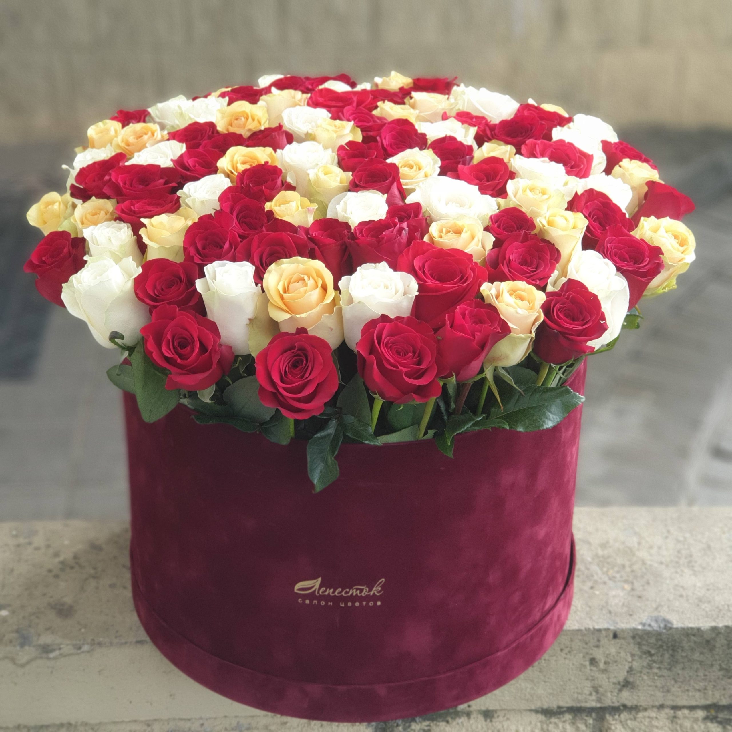 101 роза в бархатном цилиндре